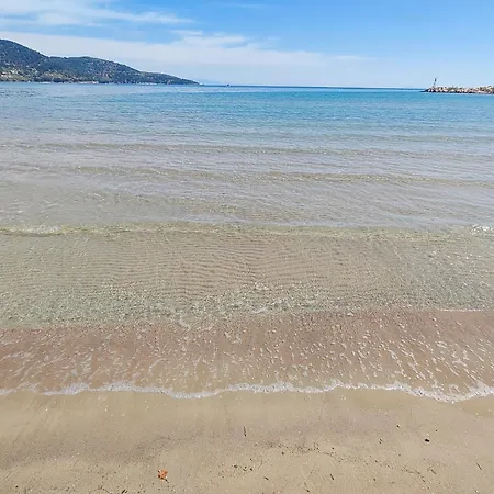 Lavender Skala Potamia (Thasos)