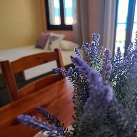 Lavender 4*