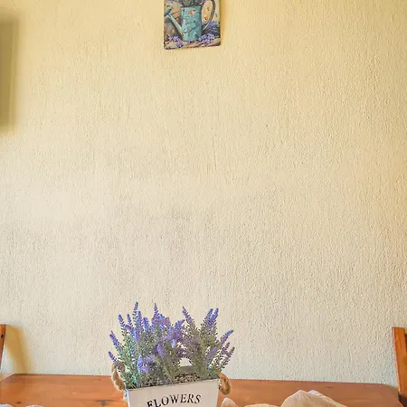 Aparthotel Lavender *