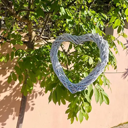 Lavender סקאלה פוטאמיאס