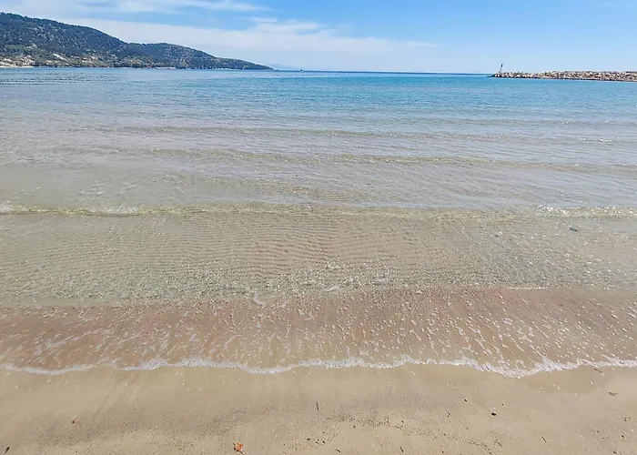 Lavender Skala Potamia (Thasos)