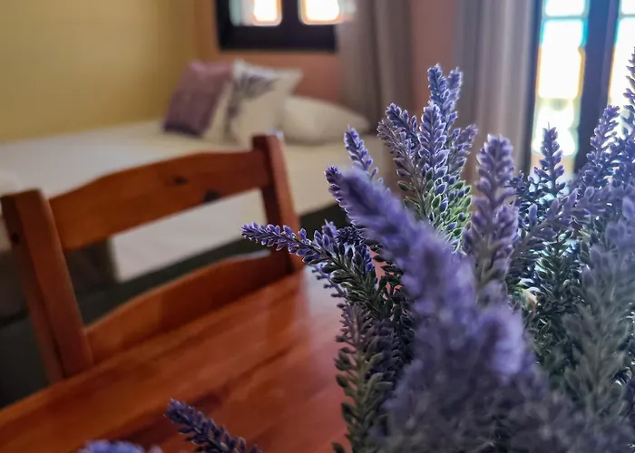 Lavender 4*